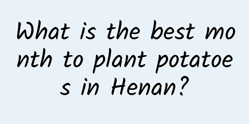 What is the best month to plant potatoes in Henan?