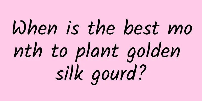 When is the best month to plant golden silk gourd?