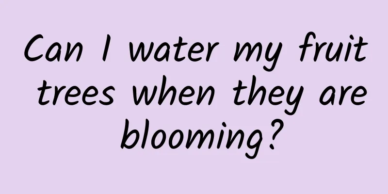 Can I water my fruit trees when they are blooming?