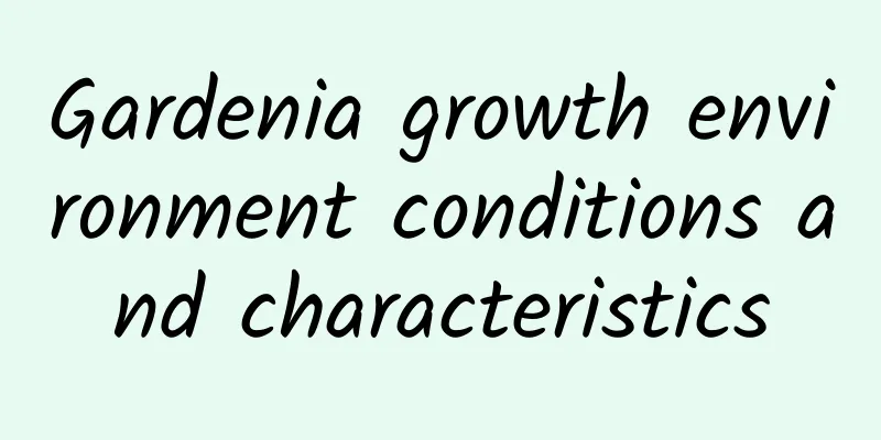 Gardenia growth environment conditions and characteristics