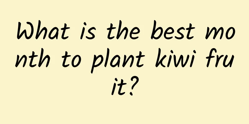 What is the best month to plant kiwi fruit?