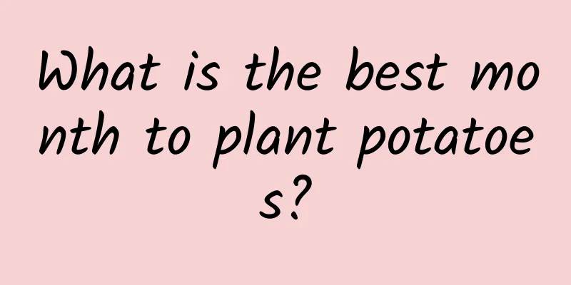 What is the best month to plant potatoes?