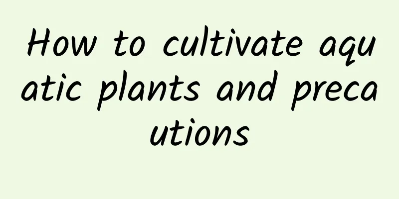 How to cultivate aquatic plants and precautions