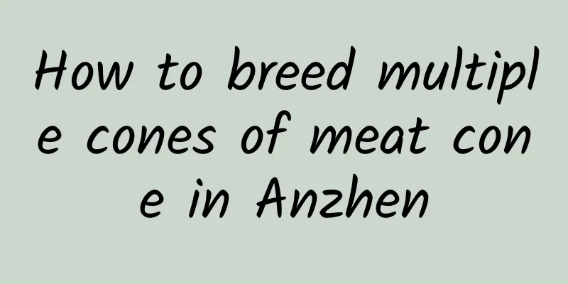 How to breed multiple cones of meat cone in Anzhen
