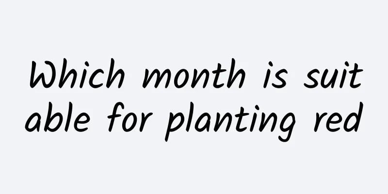 Which month is suitable for planting red