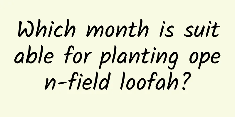 Which month is suitable for planting open-field loofah?