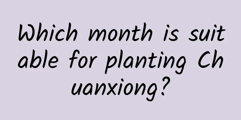 Which month is suitable for planting Chuanxiong?