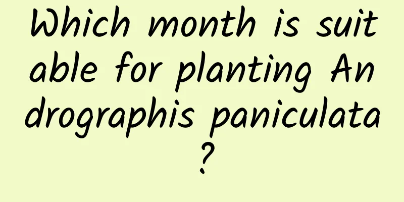 Which month is suitable for planting Andrographis paniculata?