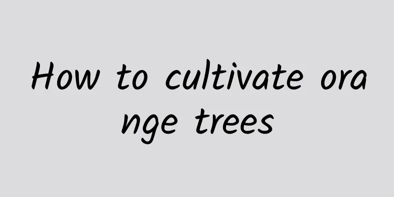 How to cultivate orange trees