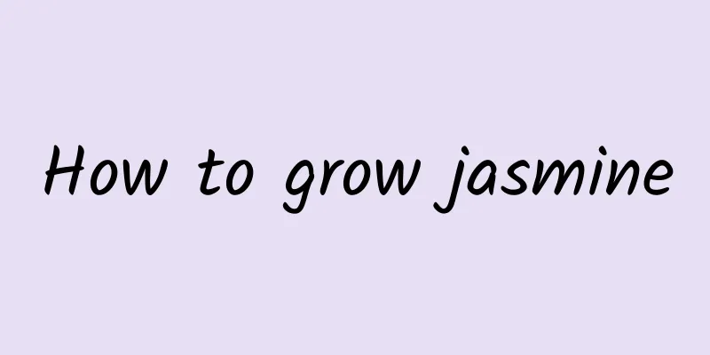 How to grow jasmine