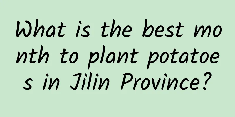 What is the best month to plant potatoes in Jilin Province?