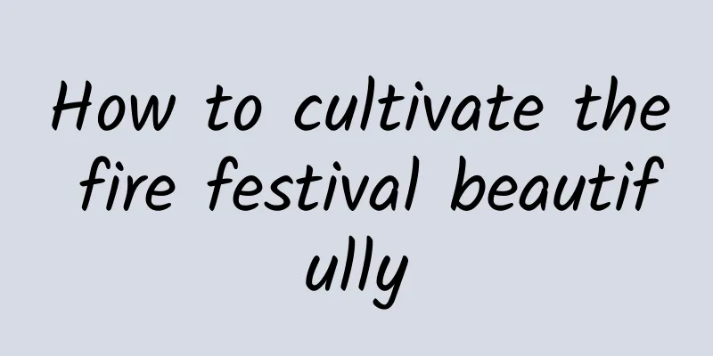 How to cultivate the fire festival beautifully