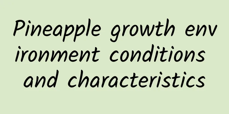 Pineapple growth environment conditions and characteristics
