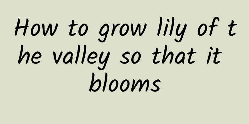 How to grow lily of the valley so that it blooms
