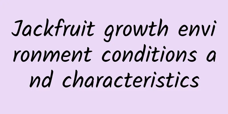 Jackfruit growth environment conditions and characteristics