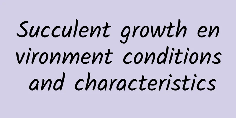 Succulent growth environment conditions and characteristics