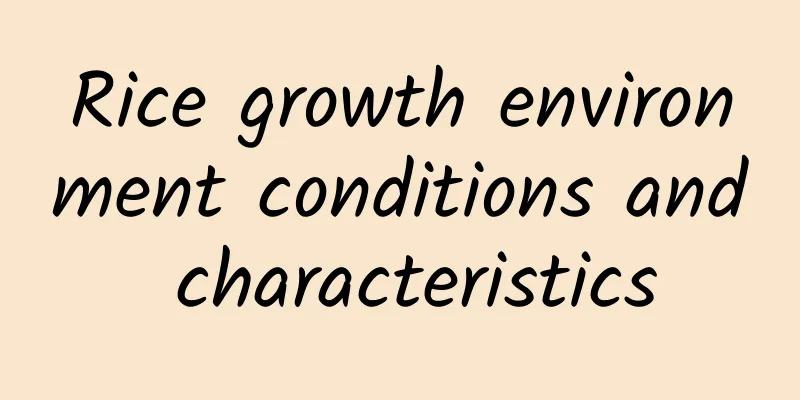 Rice growth environment conditions and characteristics