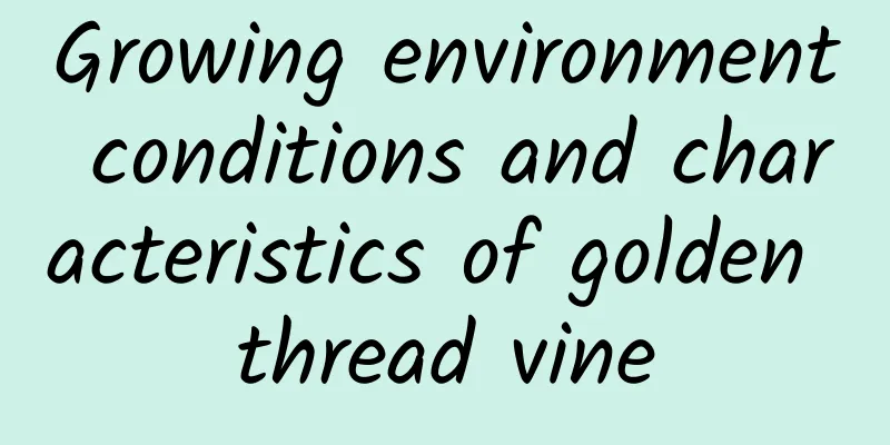 Growing environment conditions and characteristics of golden thread vine