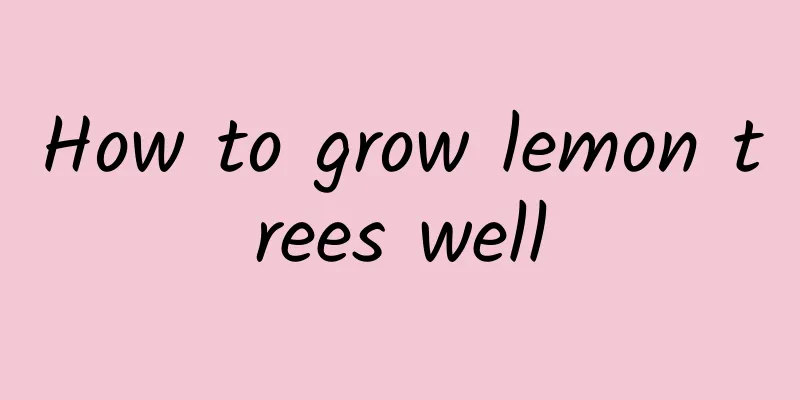 How to grow lemon trees well