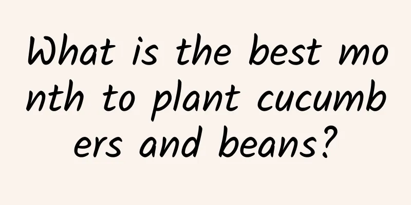 What is the best month to plant cucumbers and beans?