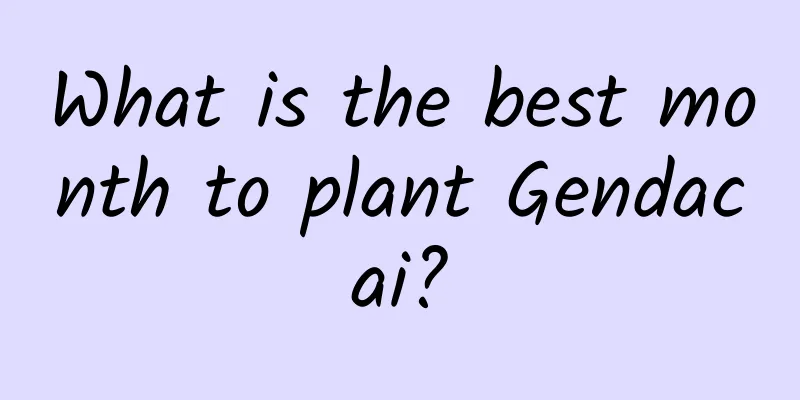 What is the best month to plant Gendacai?