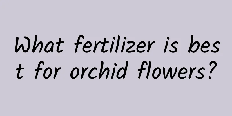 What fertilizer is best for orchid flowers?