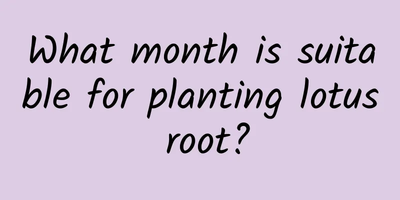 What month is suitable for planting lotus root?