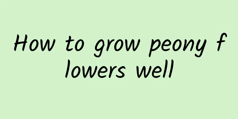 How to grow peony flowers well