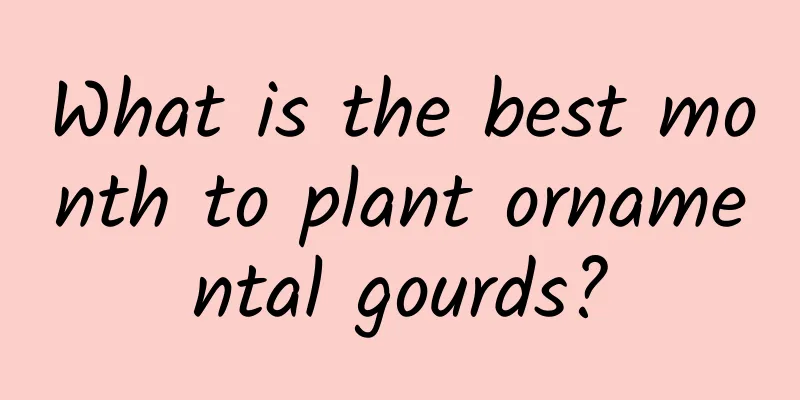 What is the best month to plant ornamental gourds?
