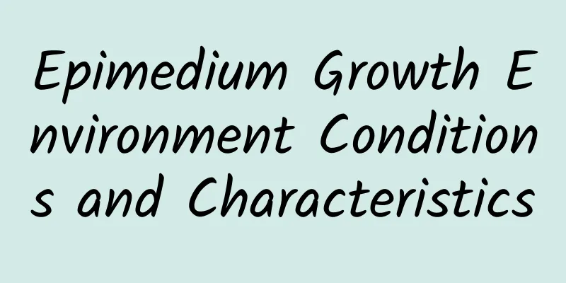 Epimedium Growth Environment Conditions and Characteristics
