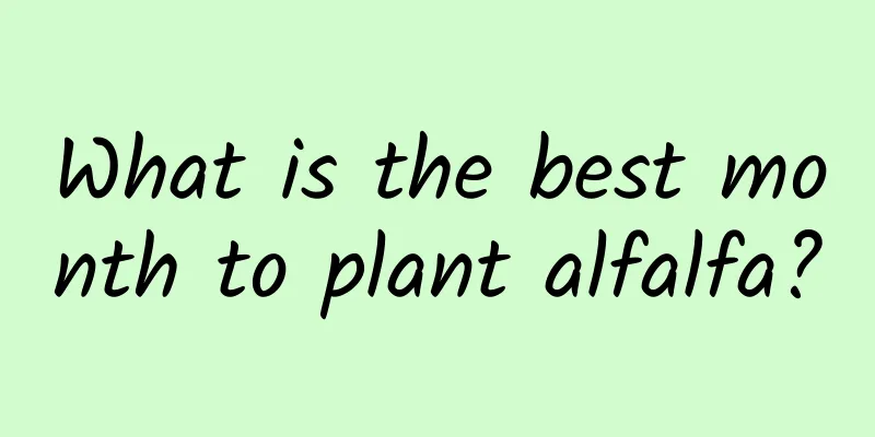 What is the best month to plant alfalfa?