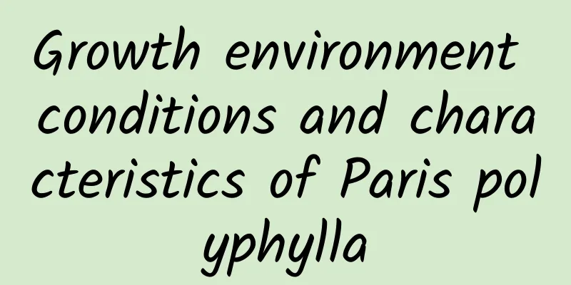 Growth environment conditions and characteristics of Paris polyphylla