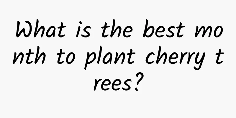 What is the best month to plant cherry trees?