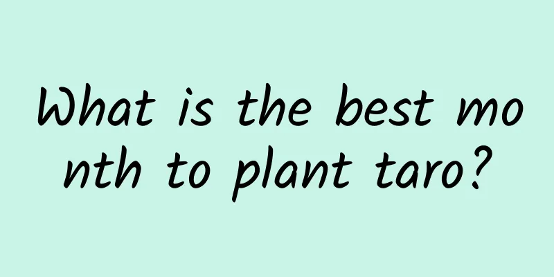 What is the best month to plant taro?