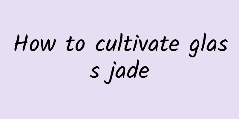 How to cultivate glass jade