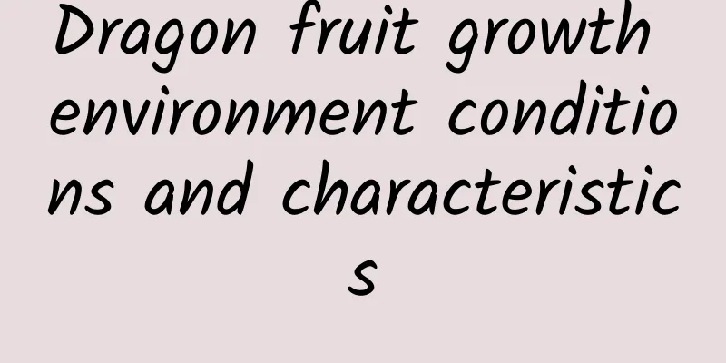 Dragon fruit growth environment conditions and characteristics