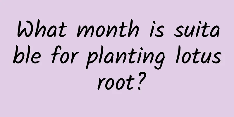 What month is suitable for planting lotus root?