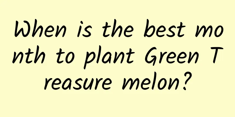 When is the best month to plant Green Treasure melon?