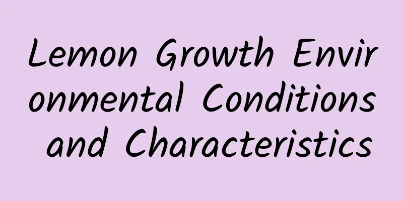 Lemon Growth Environmental Conditions and Characteristics