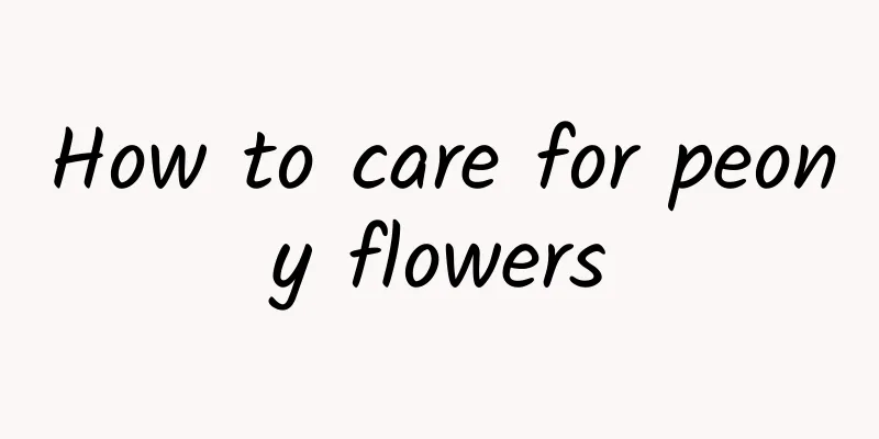 How to care for peony flowers