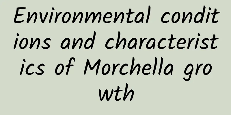 Environmental conditions and characteristics of Morchella growth