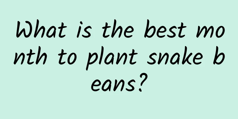 What is the best month to plant snake beans?