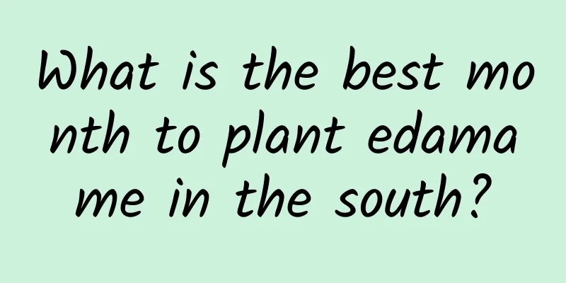 What is the best month to plant edamame in the south?