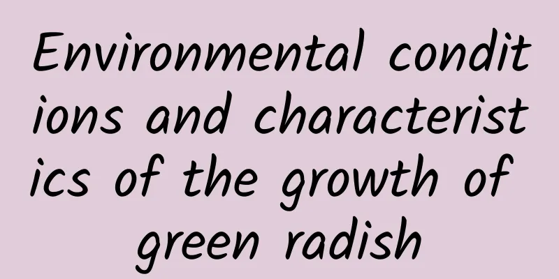 Environmental conditions and characteristics of the growth of green radish