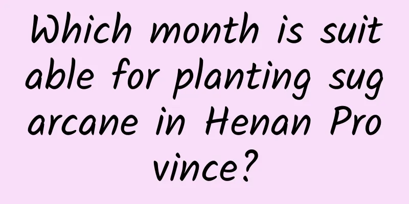 Which month is suitable for planting sugarcane in Henan Province?