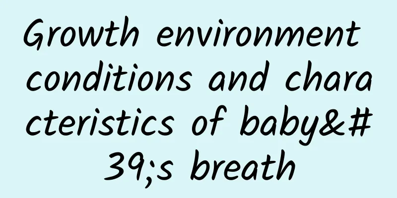 Growth environment conditions and characteristics of baby's breath