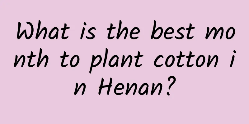 What is the best month to plant cotton in Henan?