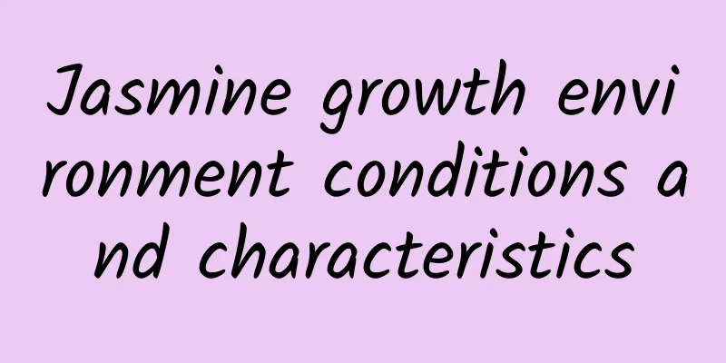 Jasmine growth environment conditions and characteristics