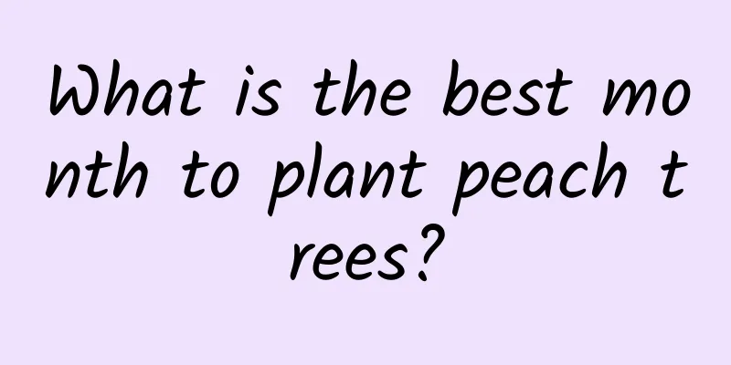 What is the best month to plant peach trees?