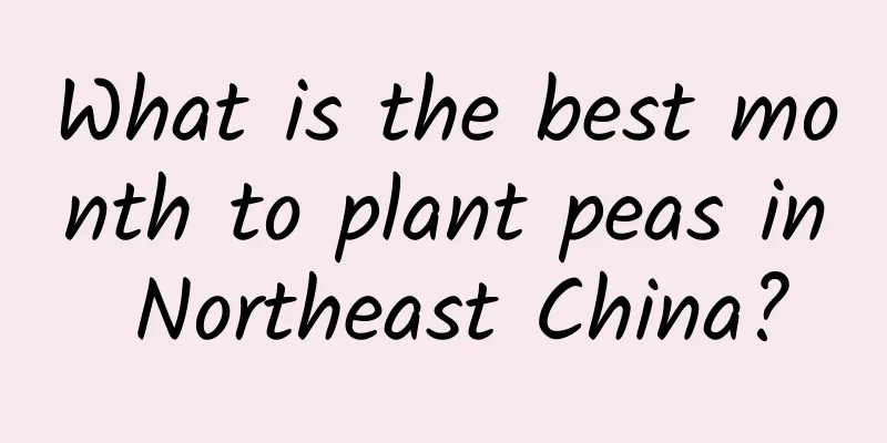 What is the best month to plant peas in Northeast China?